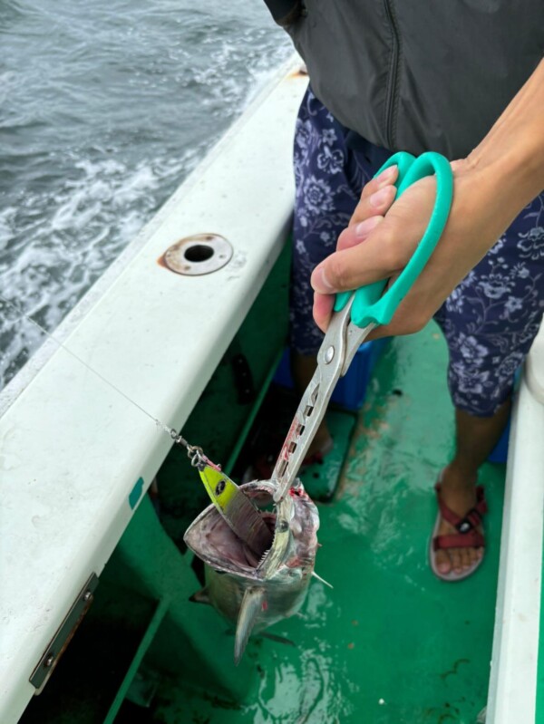 釣果写真