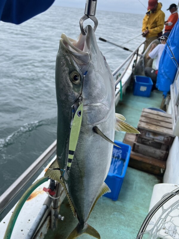 釣果写真