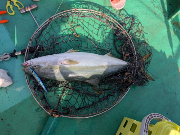 釣果写真