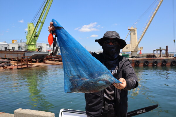 釣果写真