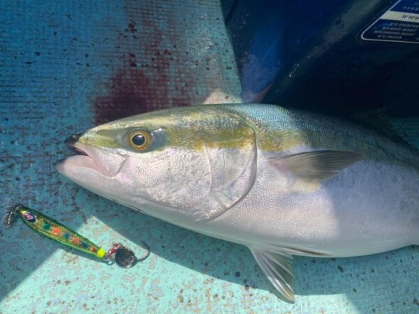 釣果写真