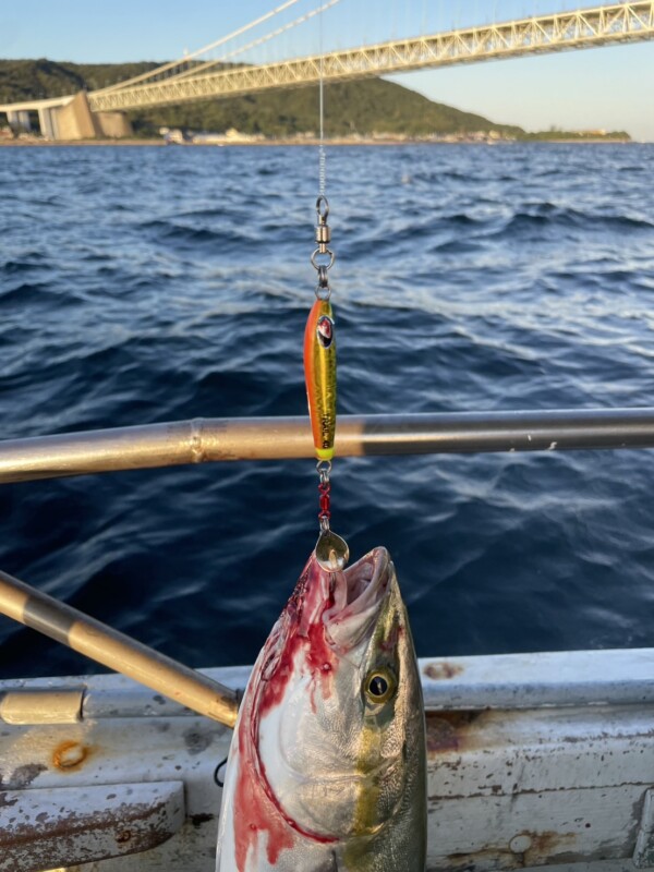 釣果写真