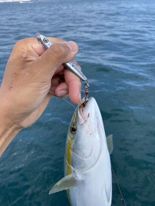 釣果写真