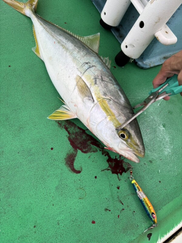 釣果写真