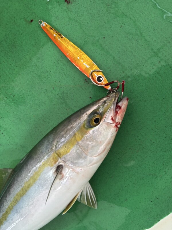 釣果写真