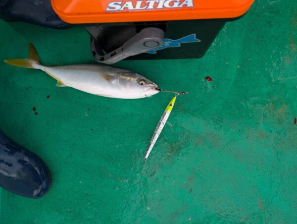 釣果写真