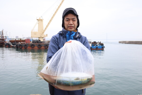 釣果写真