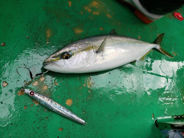 釣果写真