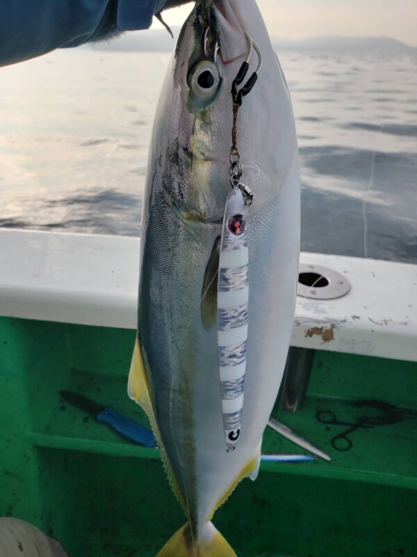 釣果写真