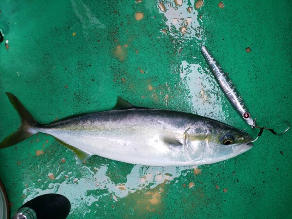 釣果写真