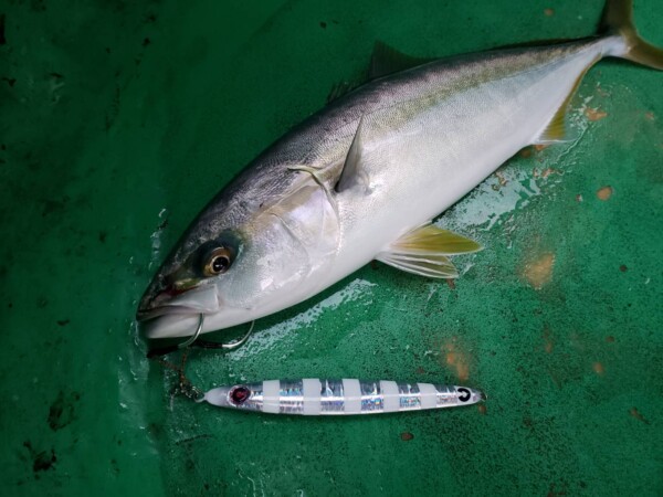 釣果写真