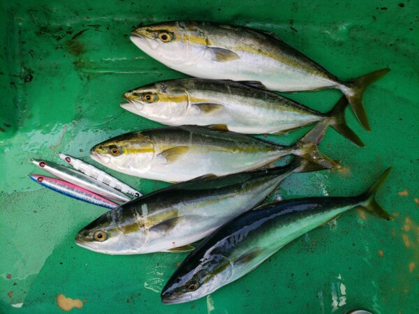 釣果写真