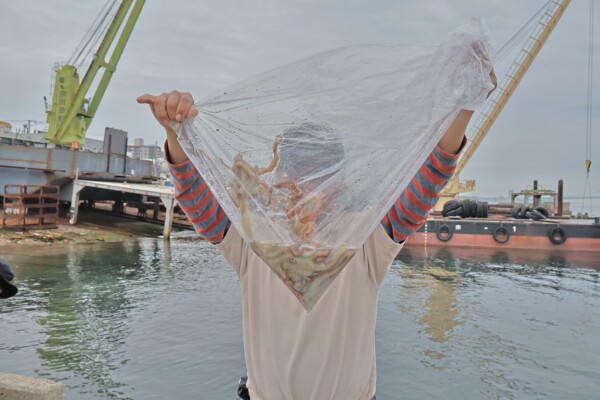 釣果写真