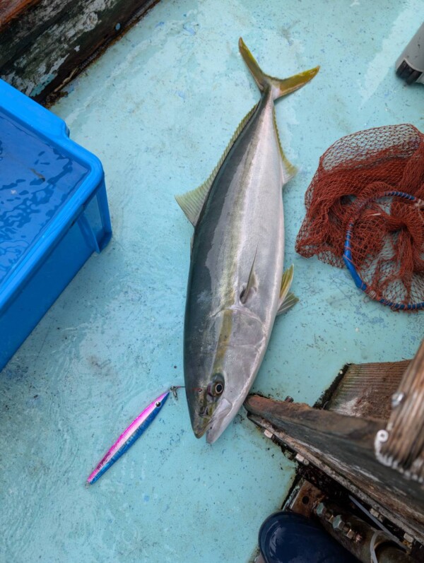 釣果写真