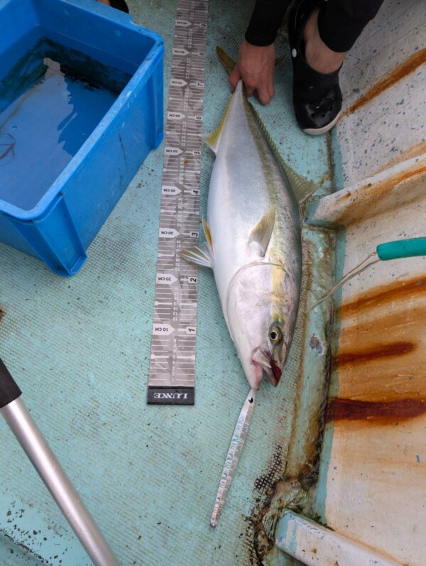 釣果写真