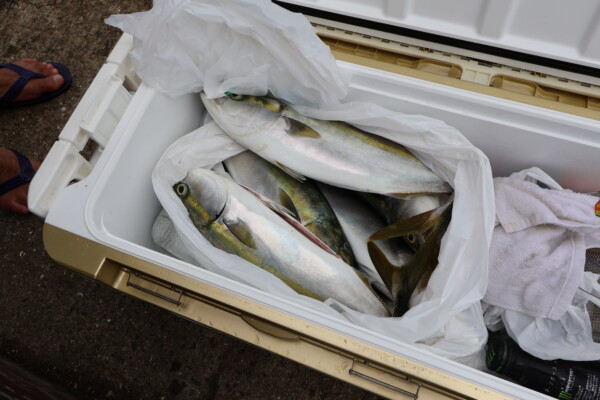 釣果写真