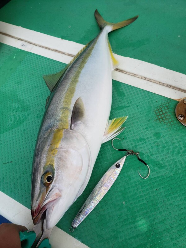 釣果写真