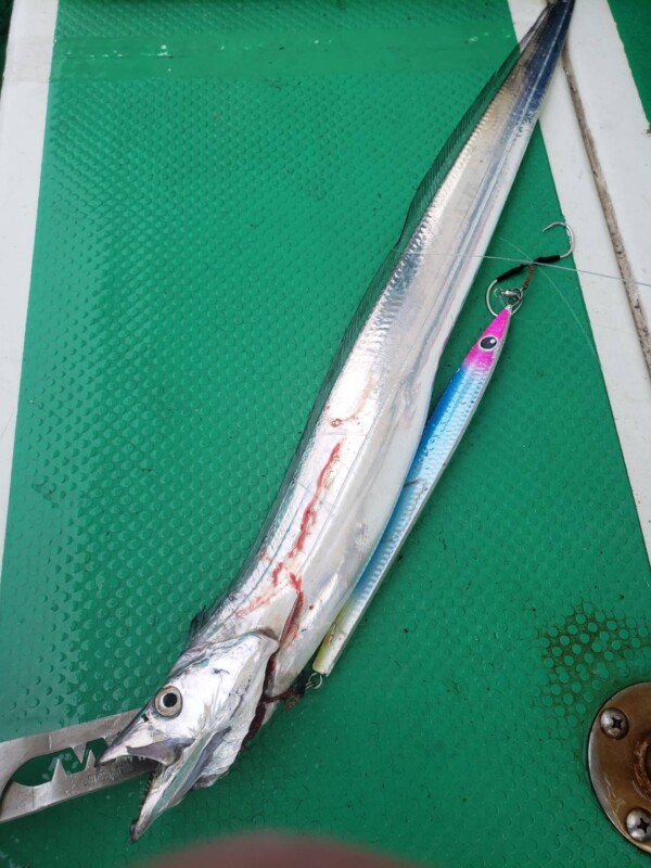 釣果写真