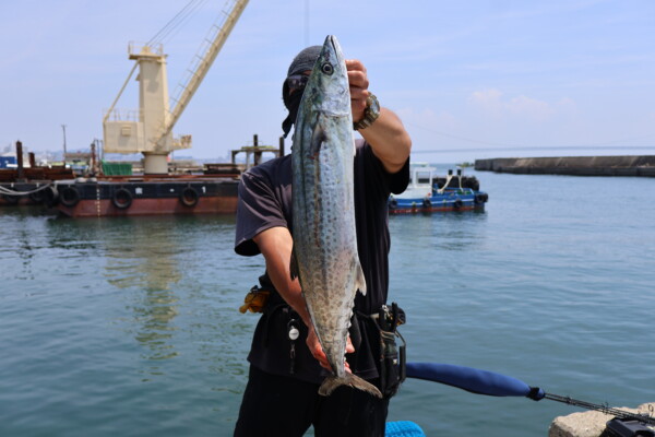 釣果写真