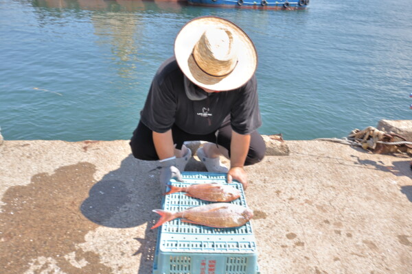 釣果写真