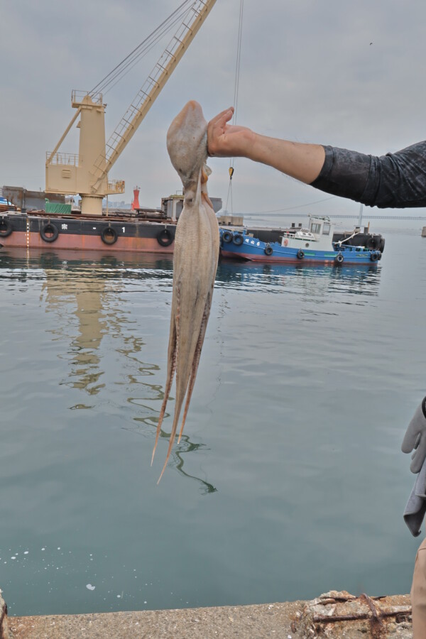 釣果写真