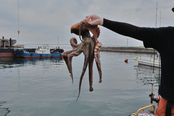 釣果写真