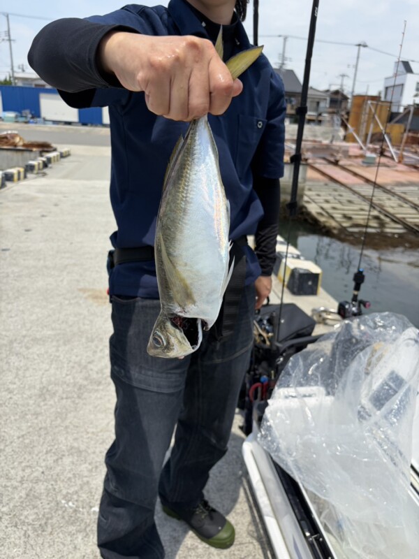 釣果写真