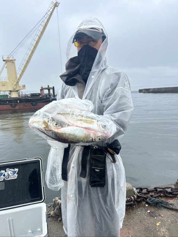 釣果写真