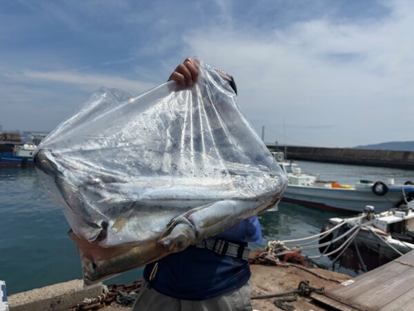 釣果写真