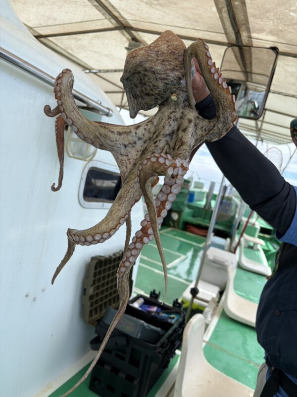釣果写真