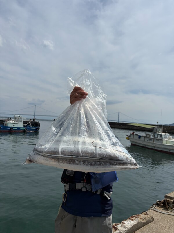 釣果写真