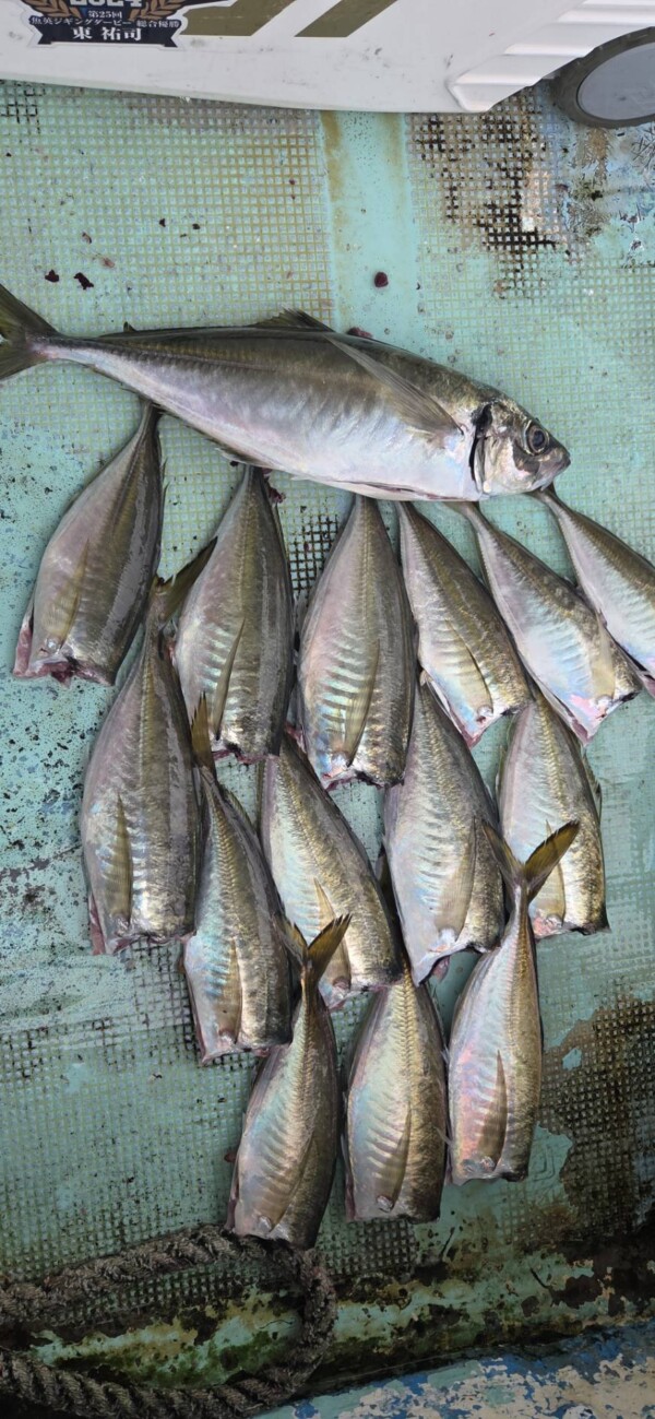 釣果写真