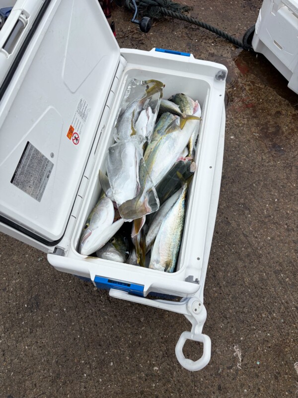 釣果写真