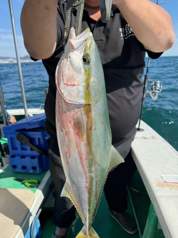 釣果写真